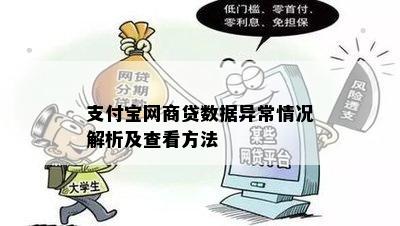 支付宝网商贷数据异常情况解析及查看方法