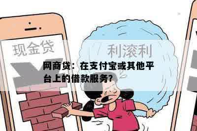 网商贷：在支付宝或其他平台上的借款服务？