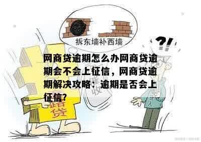 网商贷逾期怎么办网商贷逾期会不会上征信，网商贷逾期解决攻略：逾期是否会上征信？