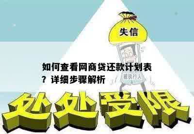 如何查看网商贷还款计划表？详细步骤解析