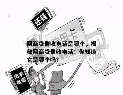 网商贷催收电话是哪个，揭秘网商贷催收电话：你知道它是哪个吗？