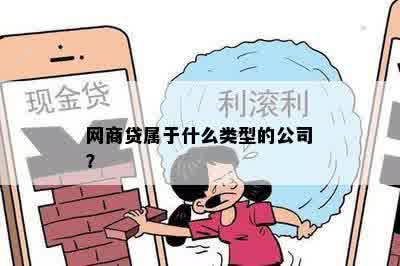 网商贷属于什么类型的公司？