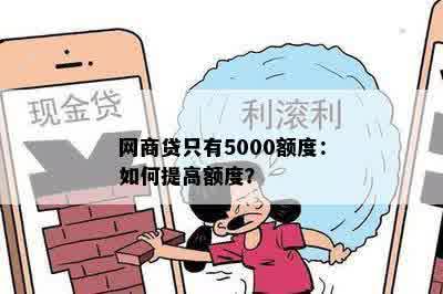 网商贷只有5000额度：如何提高额度？