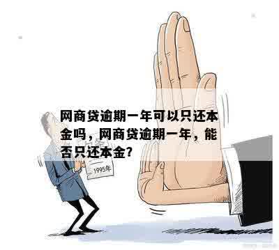 网商贷逾期一年可以只还本金吗，网商贷逾期一年，能否只还本金？