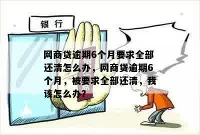 网商贷逾期6个月要求全部还清怎么办，网商贷逾期6个月，被要求全部还清，我该怎么办？