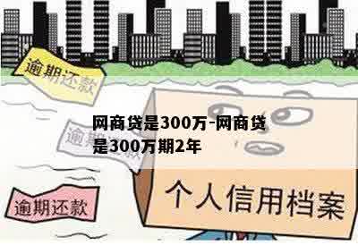 网商贷是300万-网商贷是300万期2年