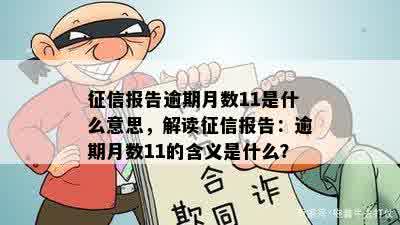 征信报告逾期月数11是什么意思，解读征信报告：逾期月数11的含义是什么？