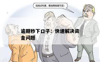 逾期秒下口子：快速解决资金问题