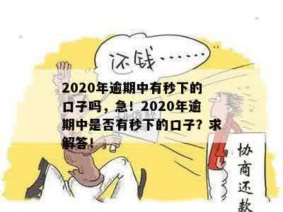 2020年逾期中有秒下的口子吗，急！2020年逾期中是否有秒下的口子？求解答！