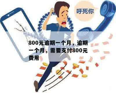 800元逾期一个月，逾期一个月，需要支付800元费用