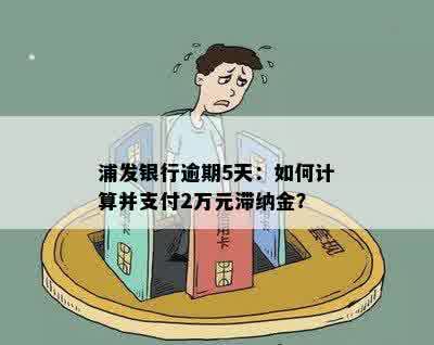 浦发银行逾期5天：如何计算并支付2万元滞纳金？