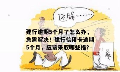 建行逾期5个月了怎么办，急需解决！建行信用卡逾期5个月，应该采取哪些措？