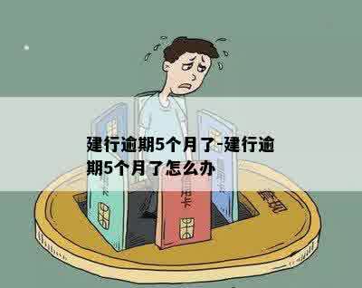 建行逾期5个月了-建行逾期5个月了怎么办