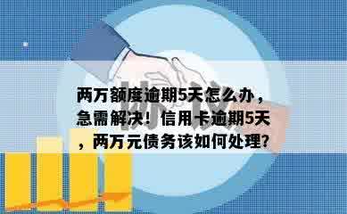 两万额度逾期5天怎么办，急需解决！信用卡逾期5天，两万元债务该如何处理？