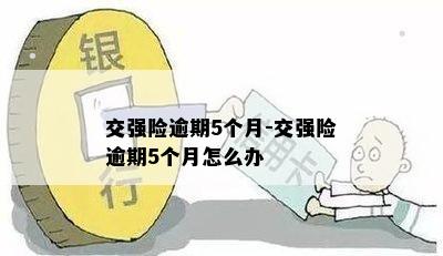 交强险逾期5个月-交强险逾期5个月怎么办