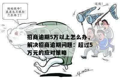 招商逾期5万以上怎么办，解决招商逾期问题：超过5万元的应对策略