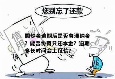 圆梦金逾期后是否有滞纳金？能否协商只还本金？逾期多长时间会上征信？