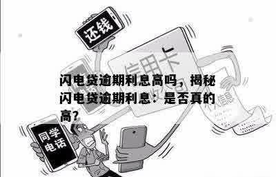 闪电贷逾期利息高吗，揭秘闪电贷逾期利息：是否真的高？