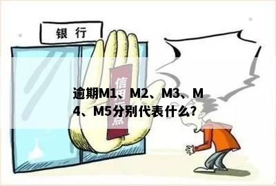 逾期M1、M2、M3、M4、M5分别代表什么？