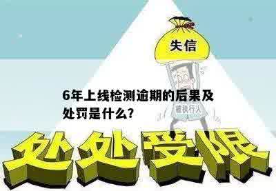 6年上线检测逾期的后果及处罚是什么？