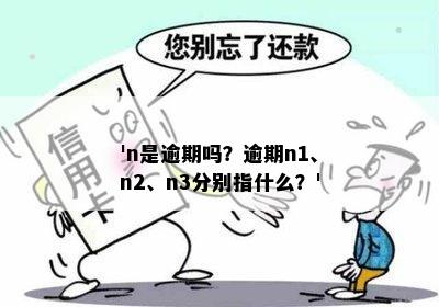 'n是逾期吗？逾期n1、n2、n3分别指什么？'