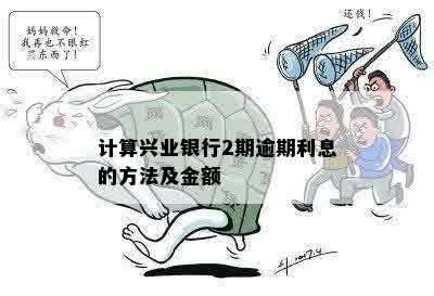 计算兴业银行2期逾期利息的方法及金额