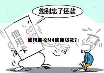 如何催收M4逾期贷款？