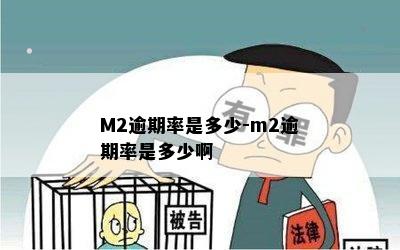 M2逾期率是多少-m2逾期率是多少啊