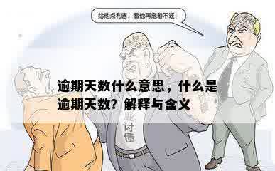 逾期天数什么意思，什么是逾期天数？解释与含义