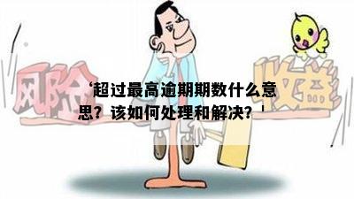 ‘超过更高逾期期数什么意思？该如何处理和解决？' 