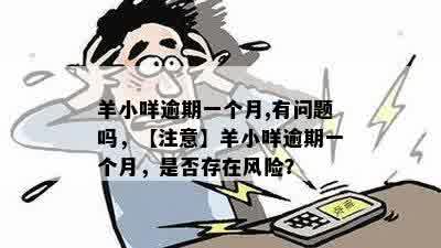 羊小咩逾期一个月,有问题吗，【注意】羊小咩逾期一个月，是否存在风险？