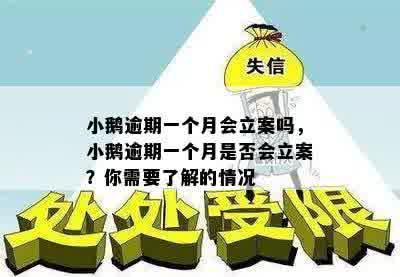 小鹅逾期一个月会立案吗，小鹅逾期一个月是否会立案？你需要了解的情况