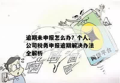 逾期未申报怎么办？个人、公司税务申报逾期解决办法全解析