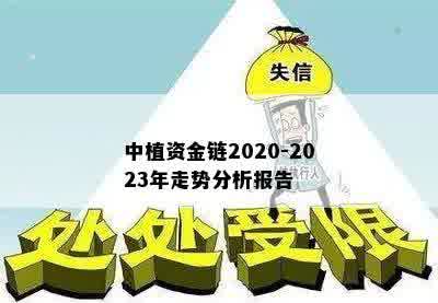 中植资金链2020-2023年走势分析报告