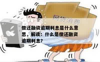 偿还融资逾期利息是什么意思，解读：什么是偿还融资逾期利息？