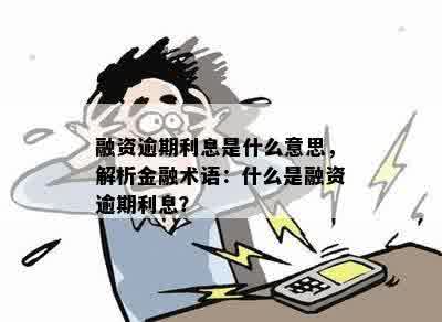 融资逾期利息是什么意思，解析金融术语：什么是融资逾期利息？