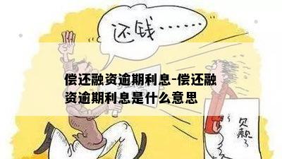 偿还融资逾期利息-偿还融资逾期利息是什么意思