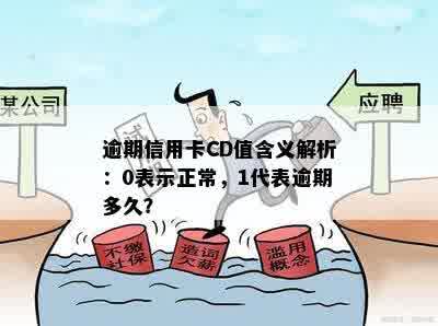 逾期信用卡CD值含义解析：0表示正常，1代表逾期多久？