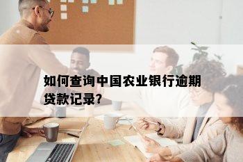 如何查询中国农业银行逾期贷款记录？