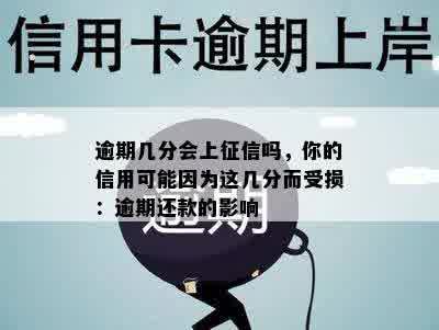 逾期几分会上征信吗，你的信用可能因为这几分而受损：逾期还款的影响