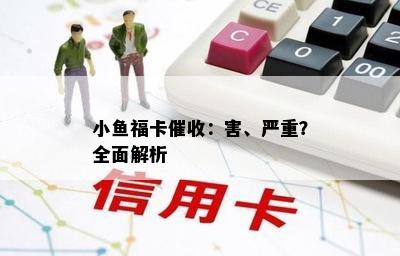 小鱼福卡催收：害、严重？全面解析