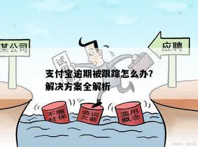 支付宝逾期被跟踪怎么办？解决方案全解析