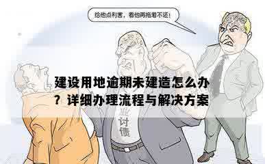 建设用地逾期未建造怎么办？详细办理流程与解决方案