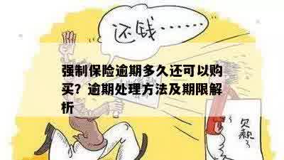 强制保险逾期多久还可以购买？逾期处理方法及期限解析