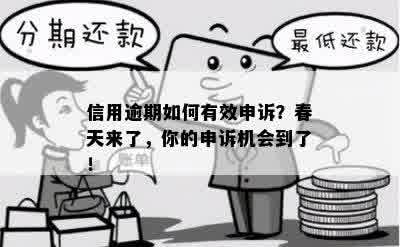 信用逾期如何有效申诉？春天来了，你的申诉机会到了！