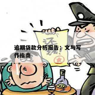 逾期贷款分析报告：文与写作指南