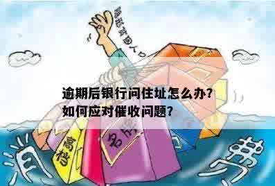 逾期后银行问住址怎么办？如何应对催收问题？