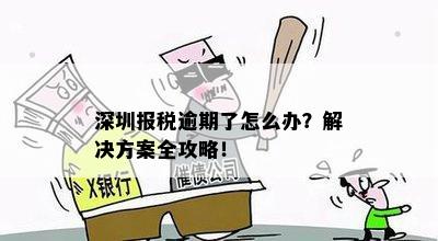 深圳报税逾期了怎么办？解决方案全攻略！