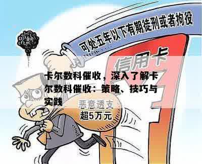 卡尔数科催收，深入了解卡尔数科催收：策略、技巧与实践