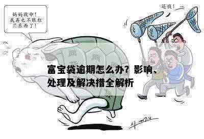 富宝袋逾期怎么办？影响、处理及解决措全解析